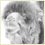BactrianCamel